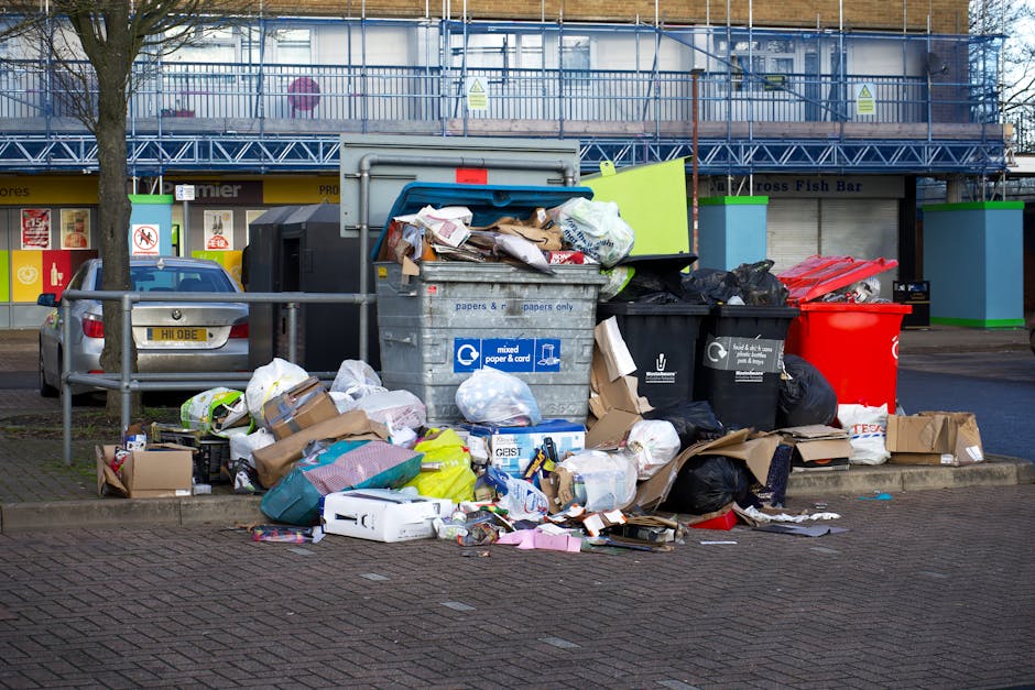 Rubbish removal guide for Hampstead Heath homes